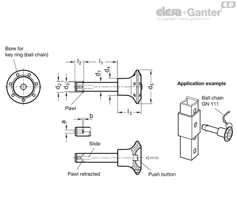 GN 114.2 Locking Pins | Elesa+Ganter